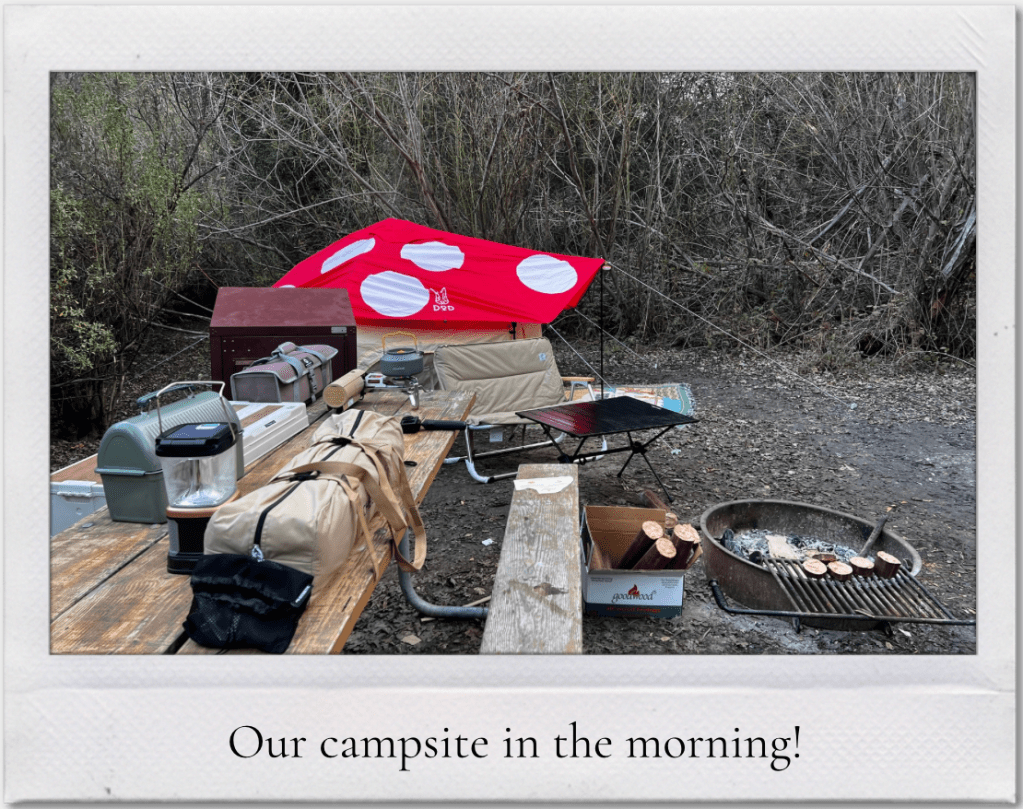 This image has an empty alt attribute; its file name is screenshot-2026-01-31-at-12.02.14-am.png