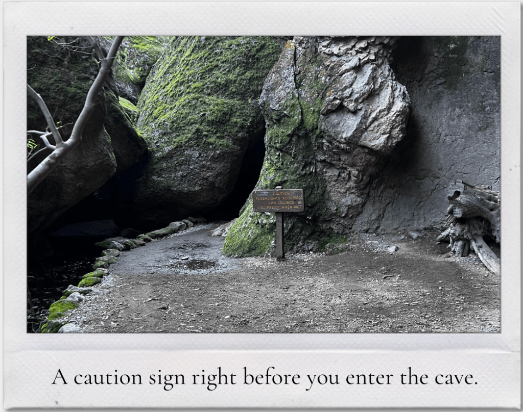 This image has an empty alt attribute; its file name is screenshot-2026-01-31-at-12.18.37-am.png