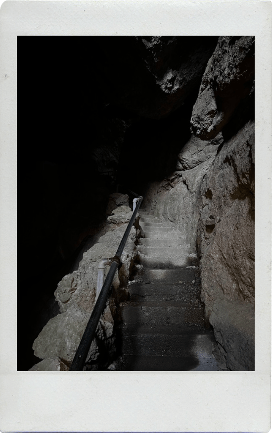 This image has an empty alt attribute; its file name is screenshot-2026-01-31-at-12.41.56-am.png